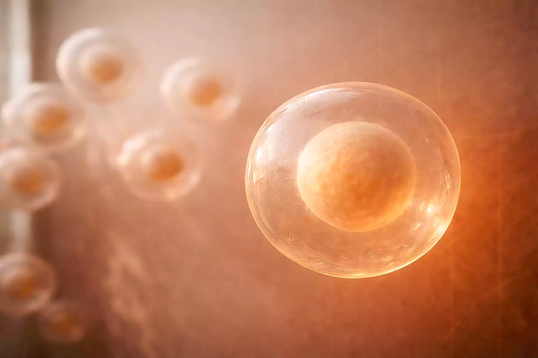 Hyperbaric oxygen therapy chamber at COA wellness clinic Pune